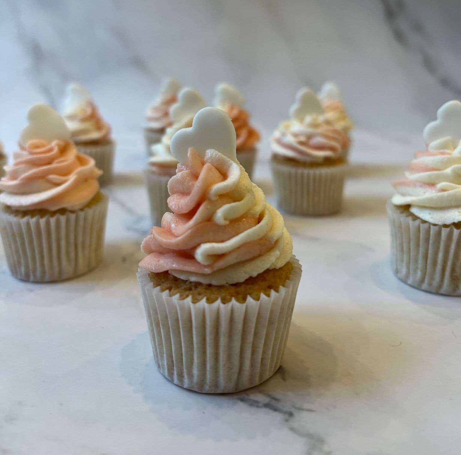 /cupcake-2-colors.jpeg